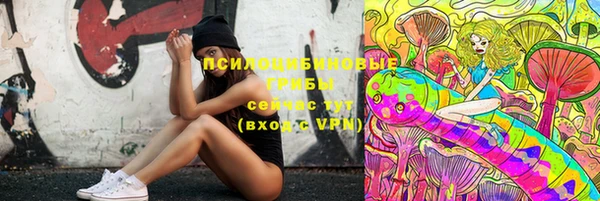 mdpv Карталы