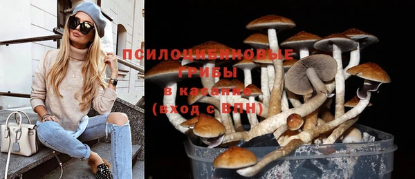эйфоретик Касимов