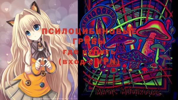 эйфоретик Касимов