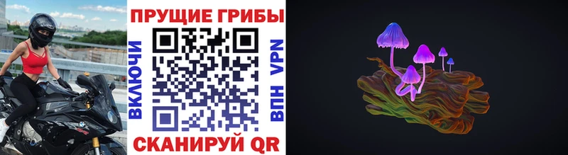 Купить закладки  Дмитров  Галлюциногенные грибы GOLDEN TEACHER 